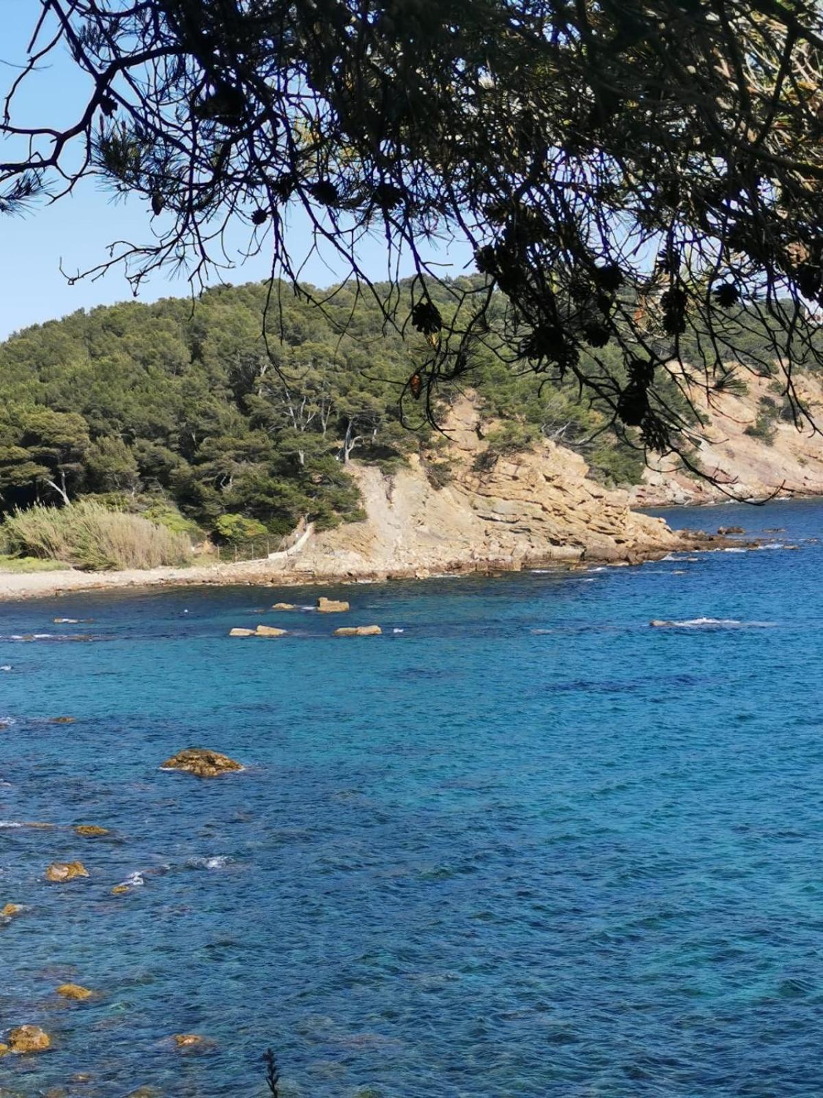 Petit Paradis - St Mandrier Village Saint-Mandrier-sur-Mer Exterior foto
