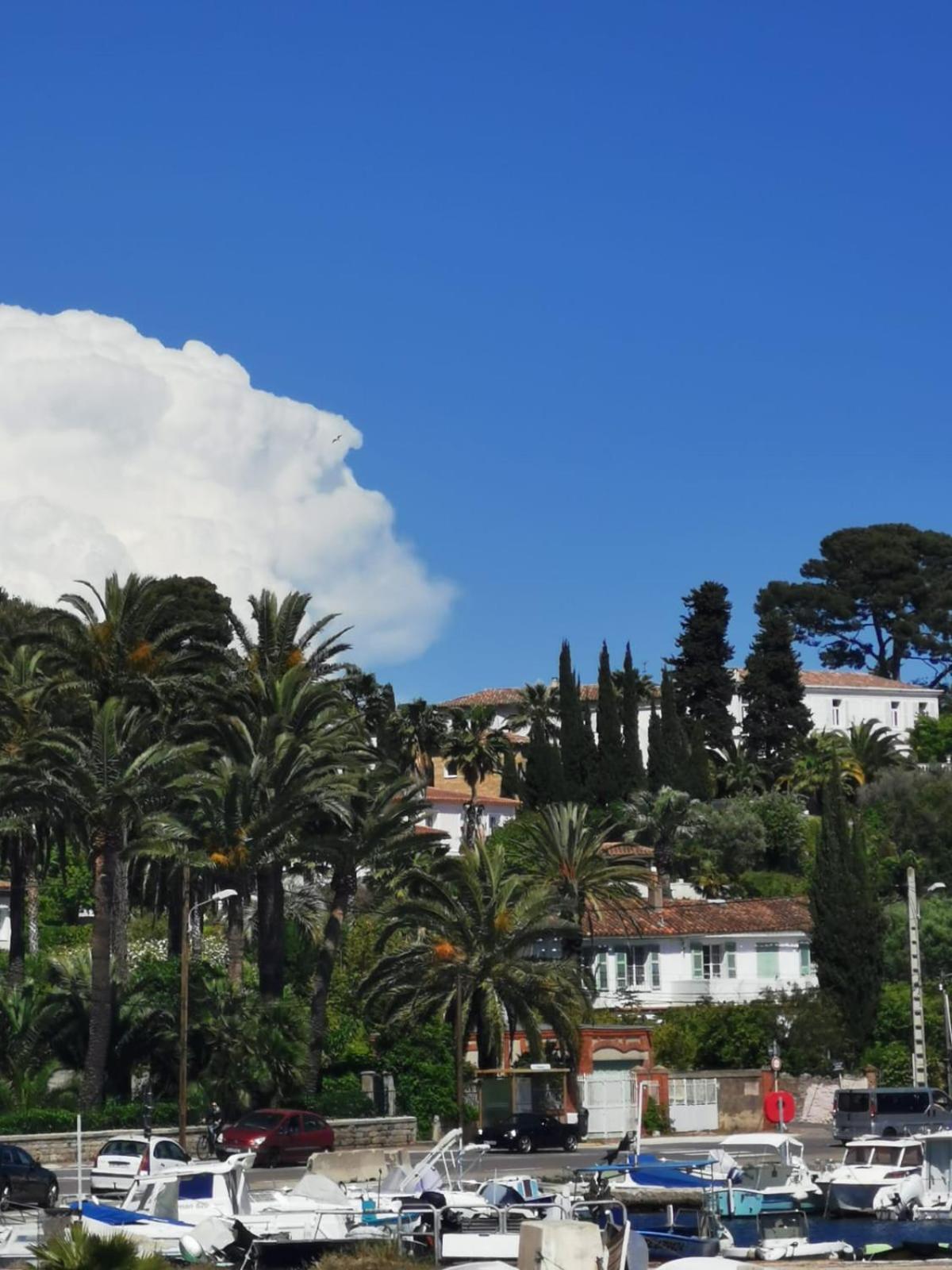 Petit Paradis - St Mandrier Village Saint-Mandrier-sur-Mer Exterior foto