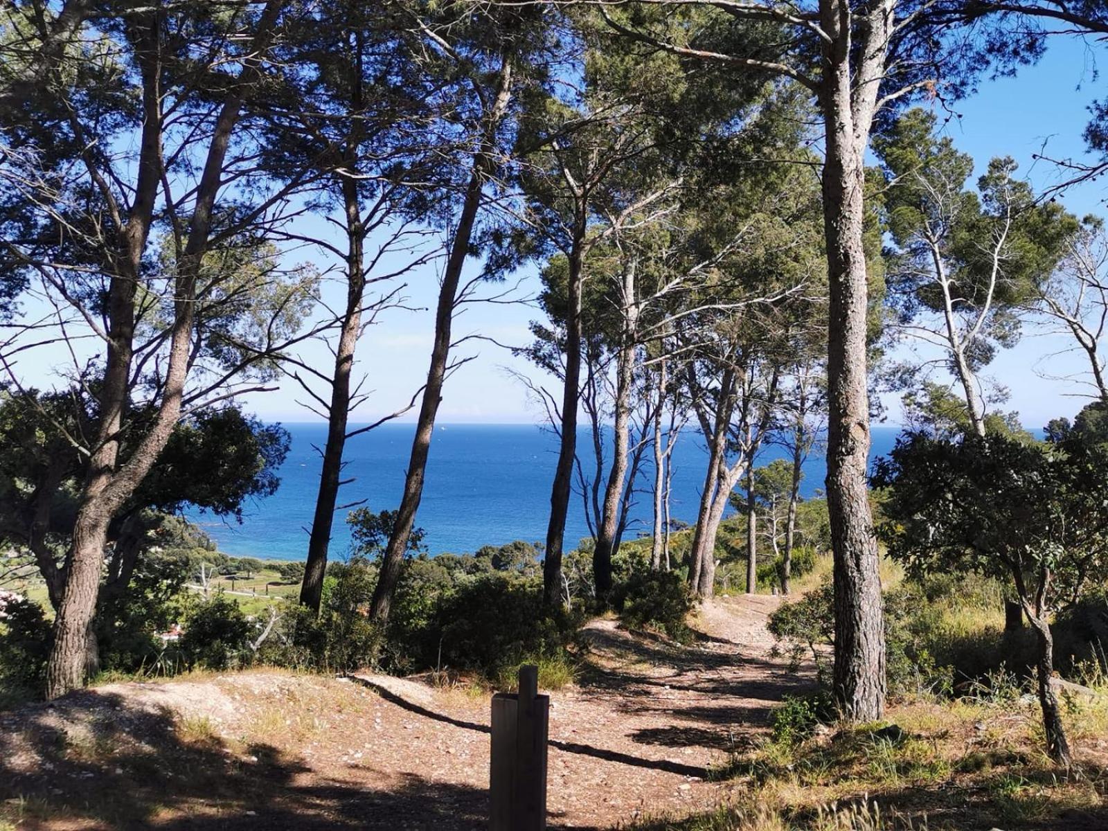 Petit Paradis - St Mandrier Village Saint-Mandrier-sur-Mer Exterior foto