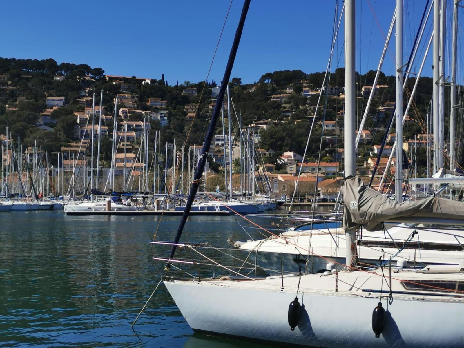 Petit Paradis - St Mandrier Village Saint-Mandrier-sur-Mer Exterior foto